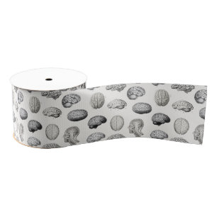 Vintage Brain Anatomy Biology Illustrations Grosgrain Ribbon