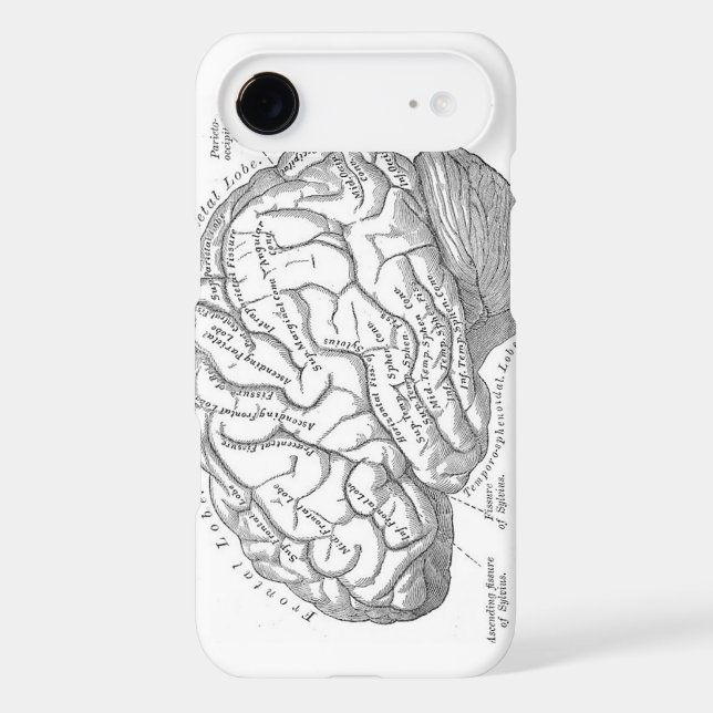 Vintage Brain Anatomy Case-Mate iPhone Case (Back)