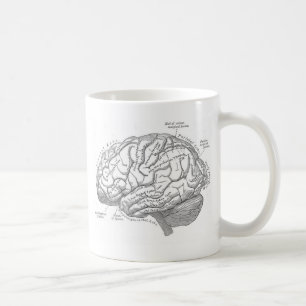 Vintage Brain Anatomy Coffee Mug