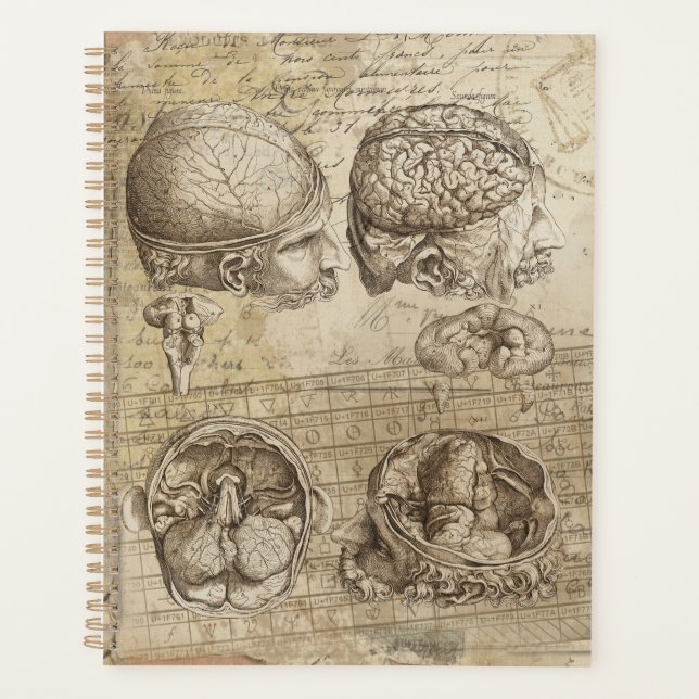 Vintage Brain Anatomy Distressed Collage Art Planner (Front)