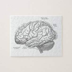 Vintage Brain Anatomy Jigsaw Puzzle