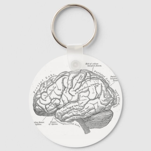 Vintage Brain Anatomy Key Ring (Front)