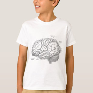 Vintage Brain Anatomy T-Shirt