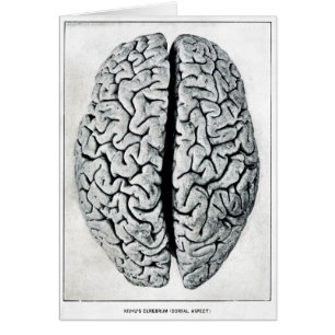 Vintage Brain Card