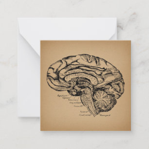 Vintage Brain Diagram Antique Medical Anatomy Art Card