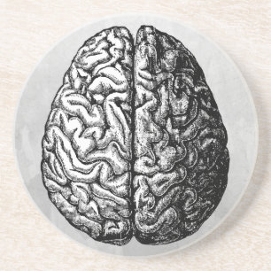 VINTAGE BRAIN DRAWING COASTER