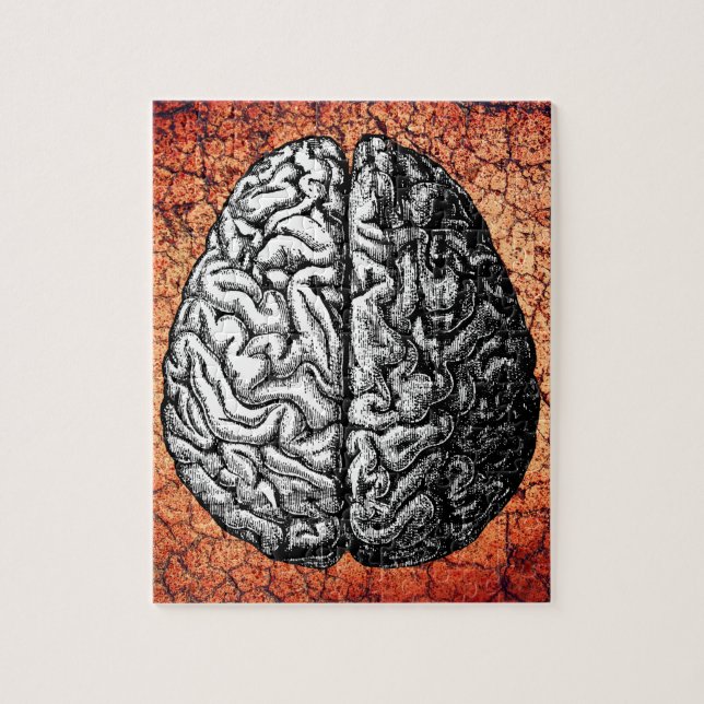 VINTAGE BRAIN DRAWING JIGSAW PUZZLE (Vertical)