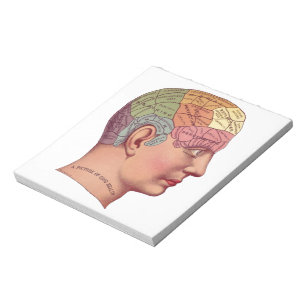 Vintage Brain Function Illustration Notepad