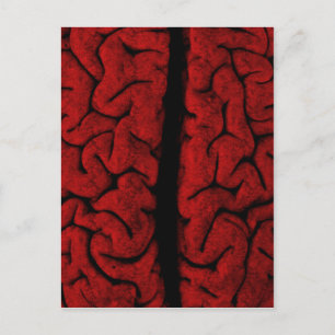 Vintage Brain Postcard