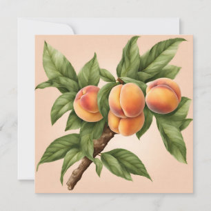 Vintage Branch with Peach Fruit Illustration Card