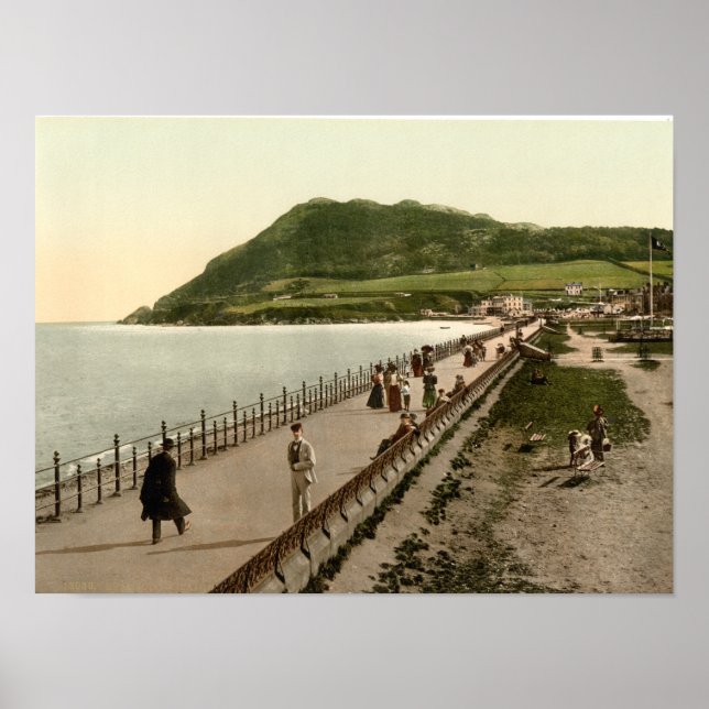 Vintage Bray Poster (Front)