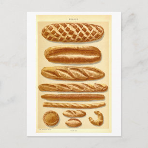 Vintage Breads of France #2 Postcard