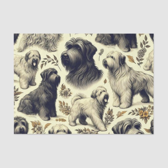 Vintage Briard Dog Seamless Tissue Paper (Front)