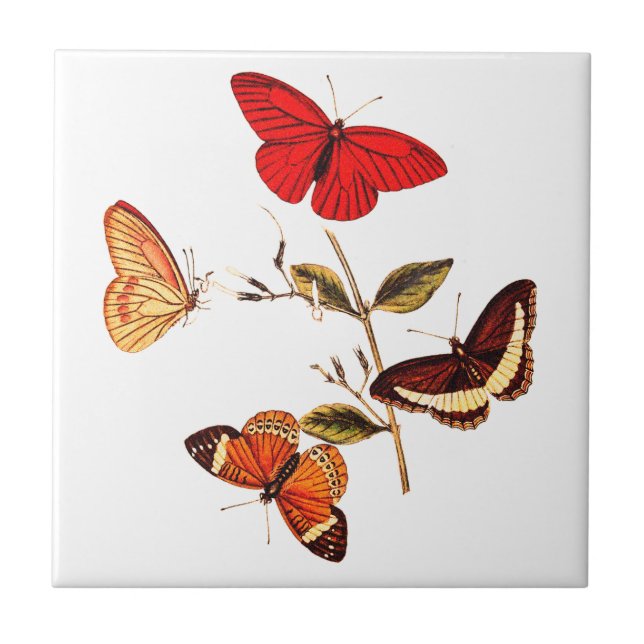  Vintage British Red Butterflies Insect Art  Ceramic Tile (Front)