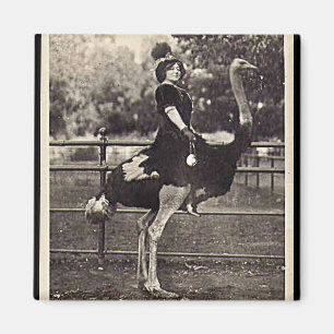 Vintage Broadway Actress Riding an Ostrich Magnet