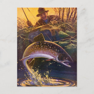 Vintage Brook Trout Fish Fisherman, Sports Fishing Postcard