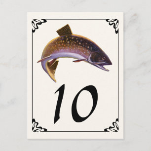 Vintage Brook Trout Fish, Sports Fishing Fisherman Postcard