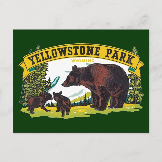 Vintage Brown Bears in Yellowstone National Park Postcard (Front)