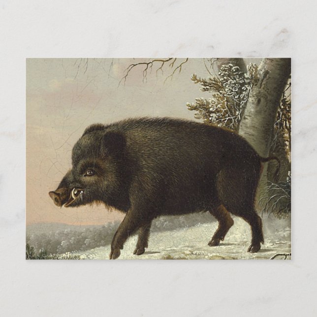 Vintage Brown Boar Hunting Painting, Wildlife Art Postcard (Front)