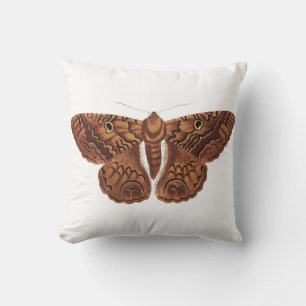 Vintage Brown Butterfly Illustration Cushion