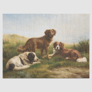 Vintage Brown White Dogs Resting In The Plateau  Tissue Paper