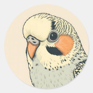 Vintage Budgerigar Face Illustration with Muted To Classic Round Sticker