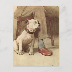 Vintage Bulldog Puppy Illustration Postcard