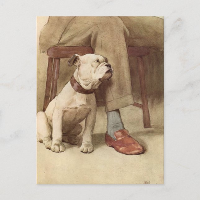 Vintage Bulldog Puppy Illustration Postcard (Front)
