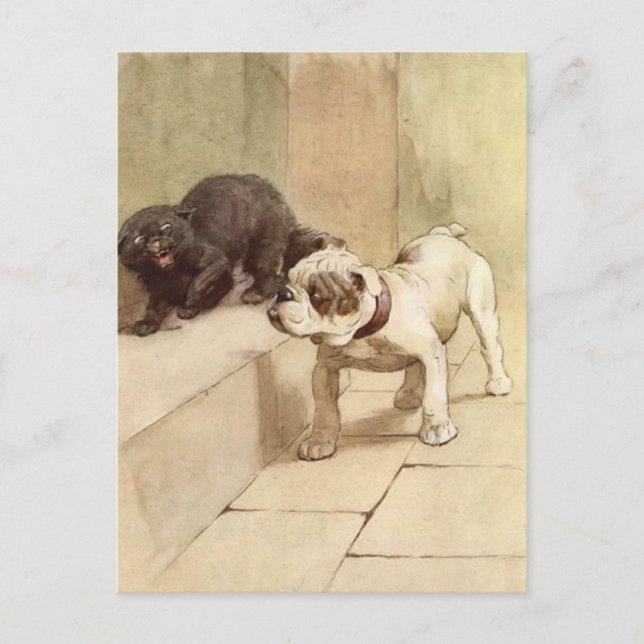 Vintage Bulldog Puppy Illustration Postcard (Front)