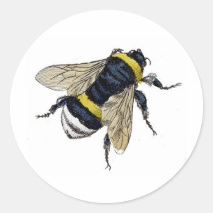Vintage Bumble Bee Classic Round Sticker