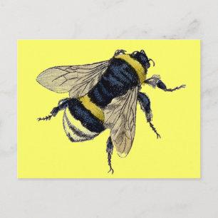 Vintage Bumble Bee Postcard