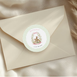 Vintage Bunny Green Gingham Girl Baby Shower Classic Round Sticker