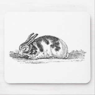 Vintage Bunny Rabbit Illustration - 1800's Rabbit Mouse Pad