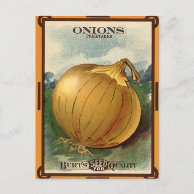 Vintage Burt's Onion Seed Package Postcard (Front)