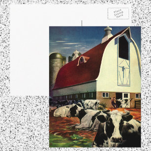 Vintage Business, Holstein Milk Cows on Dairy Farm Postcard