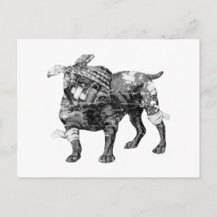 Vintage Butch in BW Postcard
