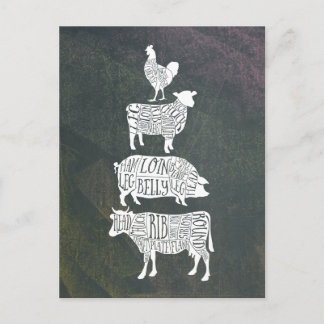 Vintage Butcher Meat Cuts Cow Pig Chicken Art Postcard