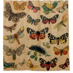 Vintage Butterfies and Moths (8).jpg Shower Curtain