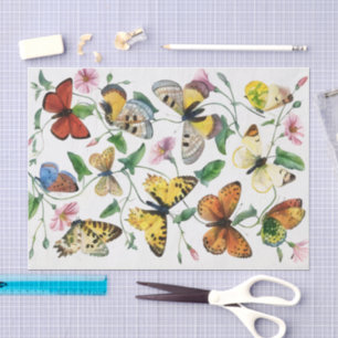 Vintage Butterflies Butterfly Art Tissue Paper