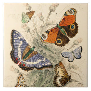 Vintage Butterflies by Oliver Goldsmith Ceramic Tile