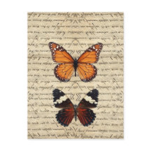 Vintage butterflies collection