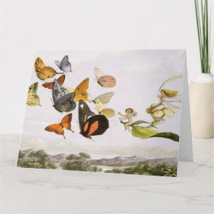 Vintage Butterflies & Fairy Old Illustration Art Card