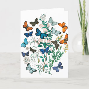 Vintage Butterflies/Flowers Art Your Text, White Thank You Card