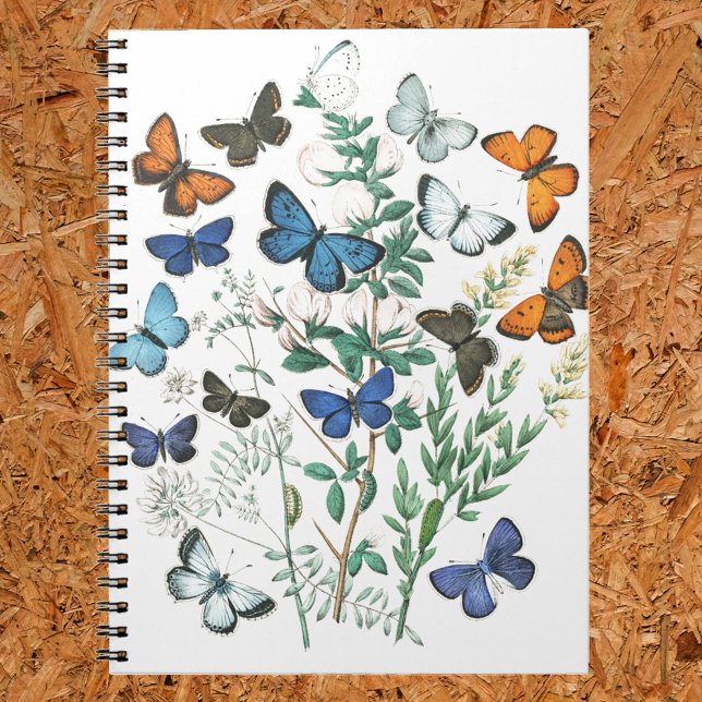 Vintage Butterflies Illustration on a Notebook (Creator Uploaded)