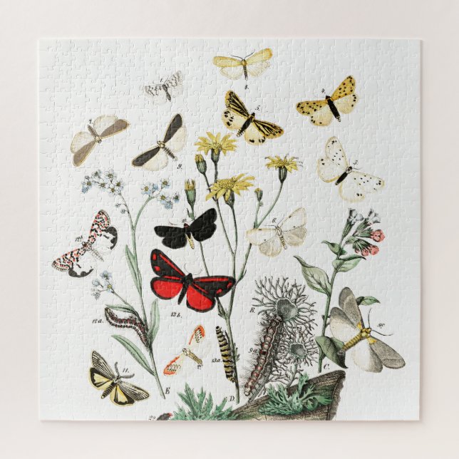 Vintage Butterflies & Moths Illustration Art Jigsaw Puzzle (Vertical)