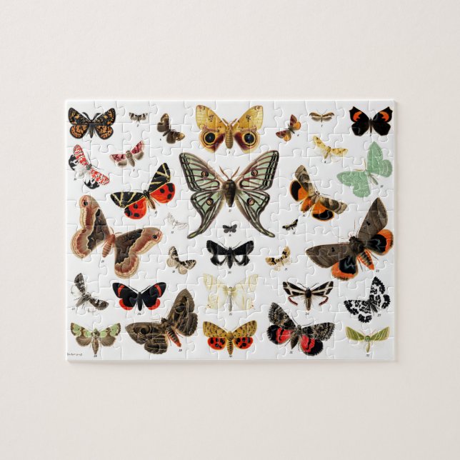 Vintage Butterflies & Moths  Illustration Art Jigsaw Puzzle (Horizontal)