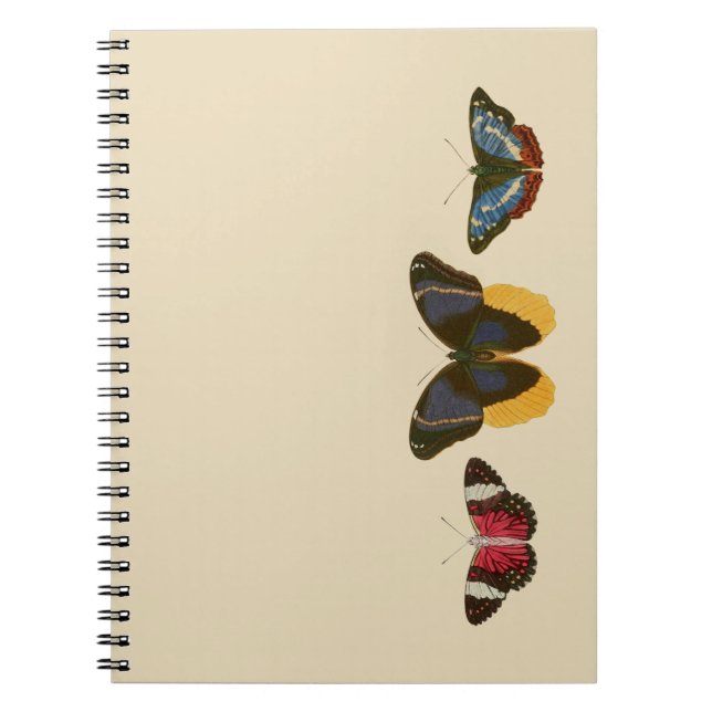 Vintage Butterflies Notebook (Front)