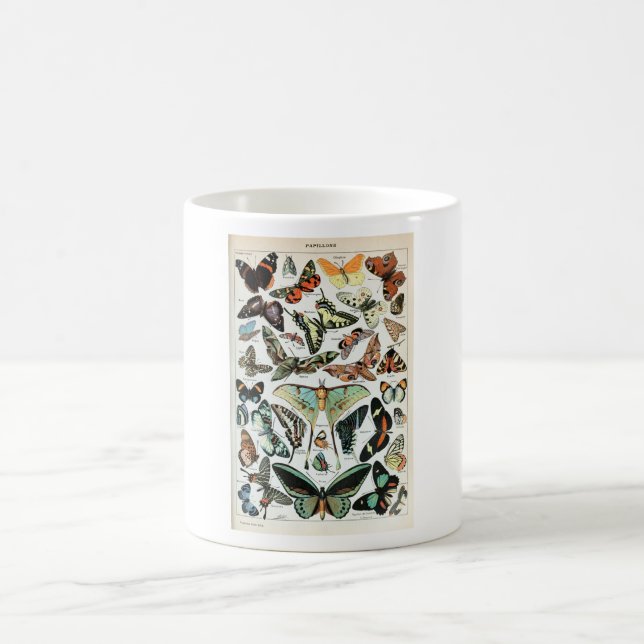Vintage Butterflies of the World Coffee Mug (Center)