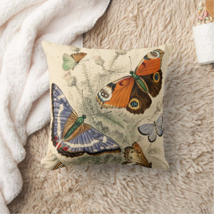 Vintage Butterflies Oliver Goldsmith Cushion