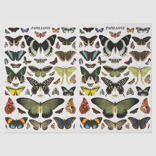 Vintage Butterflies Pattern Collage Decoupage Tissue Paper (Front)